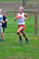 IHSAA Boys/Girls Cross Country sectional-Brown County