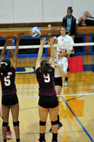 Columbus North/Lawrence Central girls volleyball